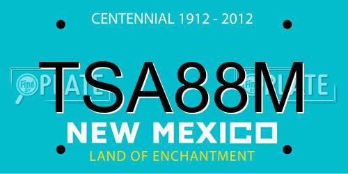 TSA88M New Mexico License Plate