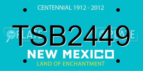 TSB2449 New Mexico License Plate