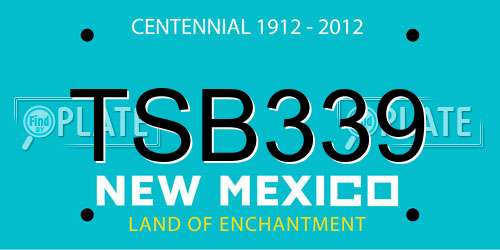 TSB339 New Mexico License Plate