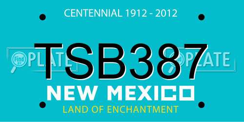 TSB387 New Mexico License Plate