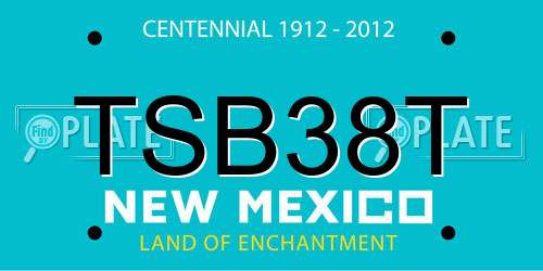 TSB38T New Mexico License Plate