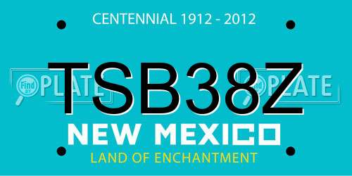 TSB38Z New Mexico License Plate