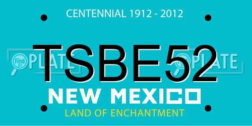 TSBE52 New Mexico License Plate