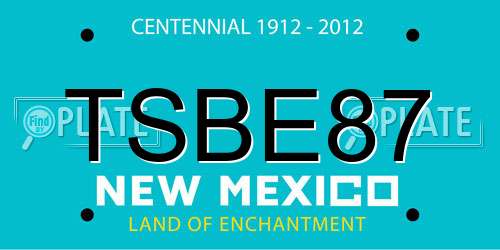 TSBE87 New Mexico License Plate