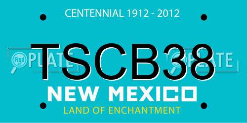 TSCB38 New Mexico License Plate