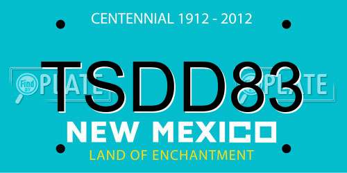 TSDD83 New Mexico License Plate