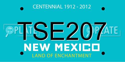 TSE207 New Mexico License Plate