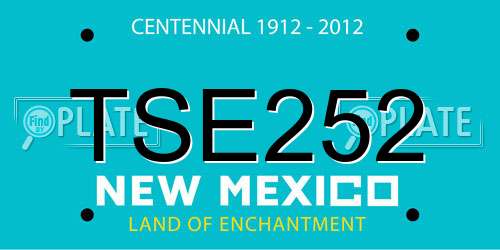 TSE252 New Mexico License Plate