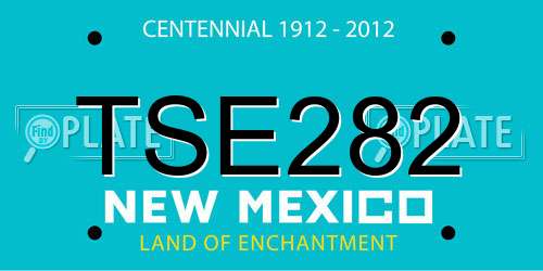 TSE282 New Mexico License Plate