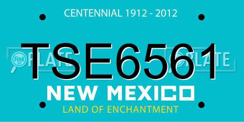 TSE6561 New Mexico License Plate