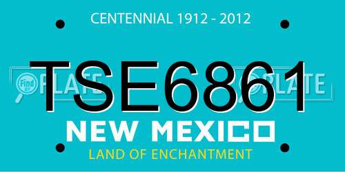 TSE6861 New Mexico License Plate