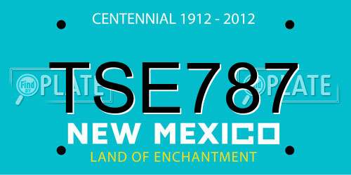 TSE787 New Mexico License Plate