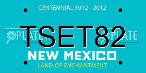 TSET82 New Mexico License Plate