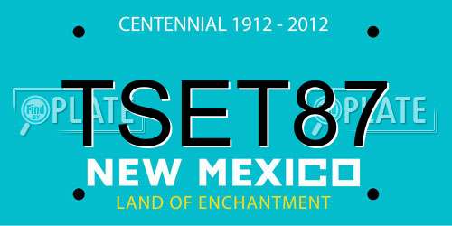 TSET87 New Mexico License Plate