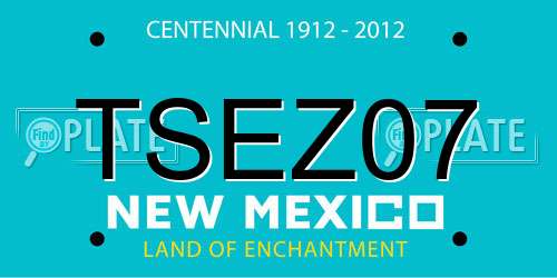 TSEZ07 New Mexico License Plate