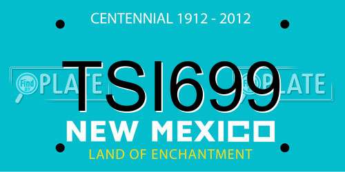 TSI699 New Mexico License Plate