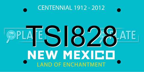 TSI828 New Mexico License Plate