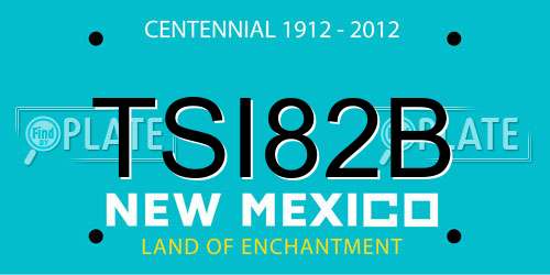 TSI82B New Mexico License Plate