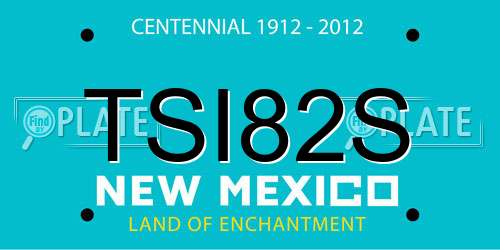TSI82S New Mexico License Plate