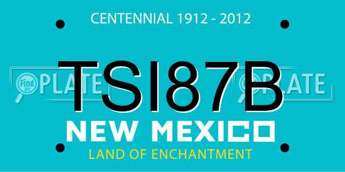 TSI87B New Mexico License Plate