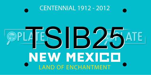 TSIB25 New Mexico License Plate