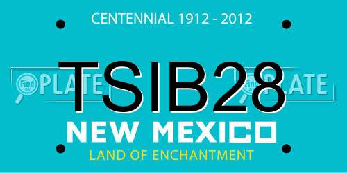 TSIB28 New Mexico License Plate