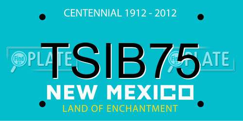 TSIB75 New Mexico License Plate