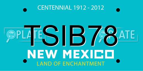 TSIB78 New Mexico License Plate