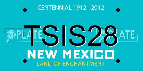 TSIS28 New Mexico License Plate
