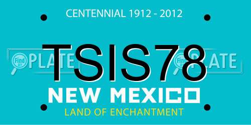 TSIS78 New Mexico License Plate