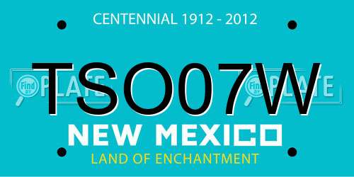TSO07W New Mexico License Plate