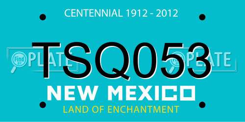 TSQ053 New Mexico License Plate