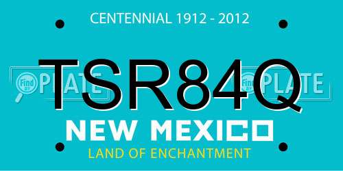 TSR84Q New Mexico License Plate