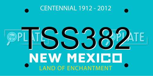 TSS382 New Mexico License Plate