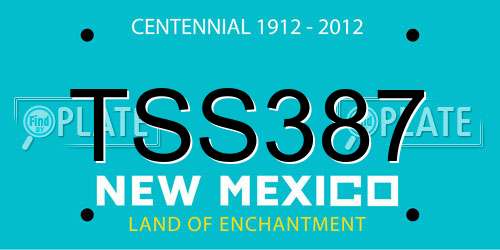 TSS387 New Mexico License Plate