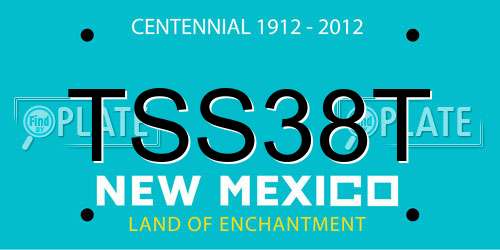 TSS38T New Mexico License Plate