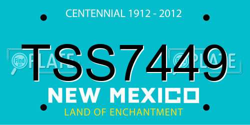 TSS7449 New Mexico License Plate