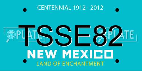 TSSE82 New Mexico License Plate