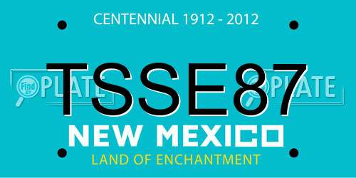 TSSE87 New Mexico License Plate