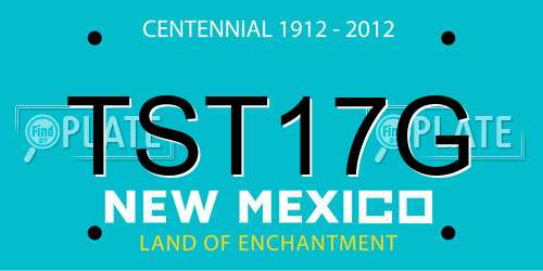 TST17G New Mexico License Plate