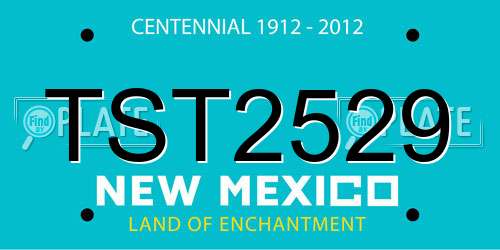 TST2529 New Mexico License Plate