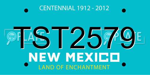 TST2579 New Mexico License Plate
