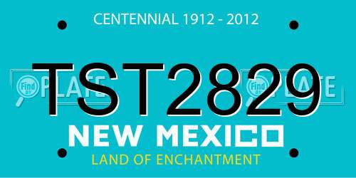 TST2829 New Mexico License Plate