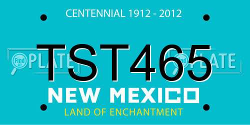 TST465 New Mexico License Plate