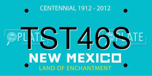TST46S New Mexico License Plate