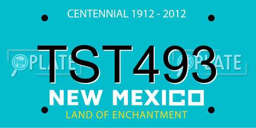 TST493 New Mexico License Plate