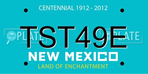 TST49E New Mexico License Plate