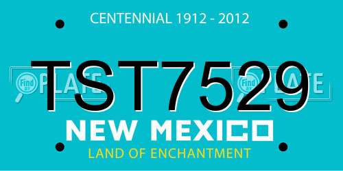 TST7529 New Mexico License Plate