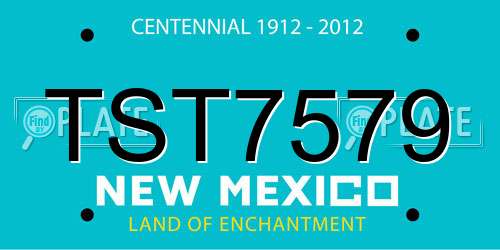 TST7579 New Mexico License Plate