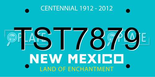 TST7879 New Mexico License Plate